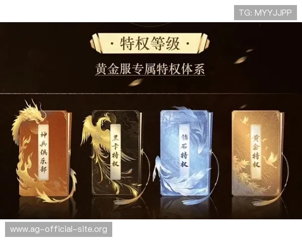 详解AG视讯厅VIP会员权益，开启尊贵游戏体验的全新篇章